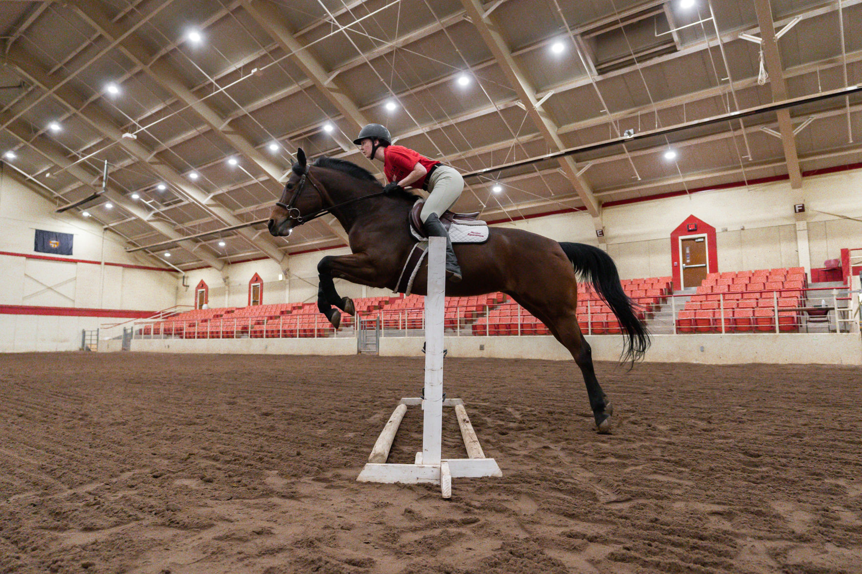 Horseback Riding Photo No. 8